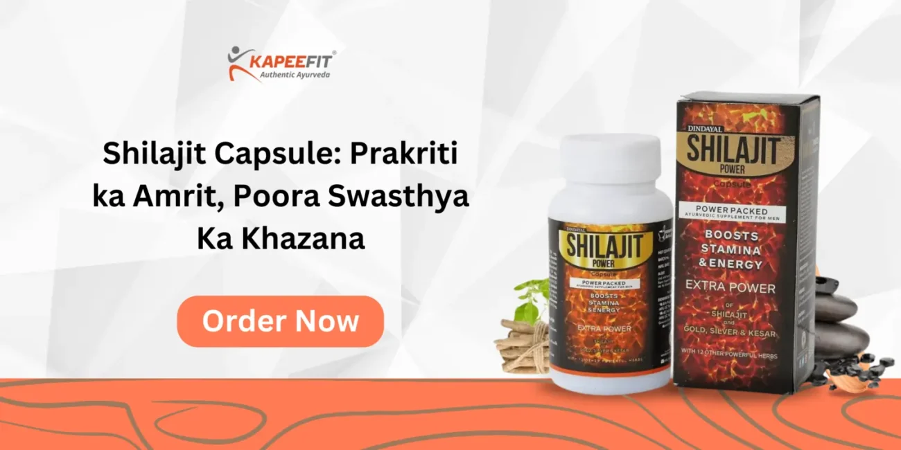 Shilajit Capsule